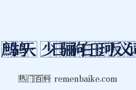 鹧鸪天·少日骊驹白玉珂反义词是什么意思的图片